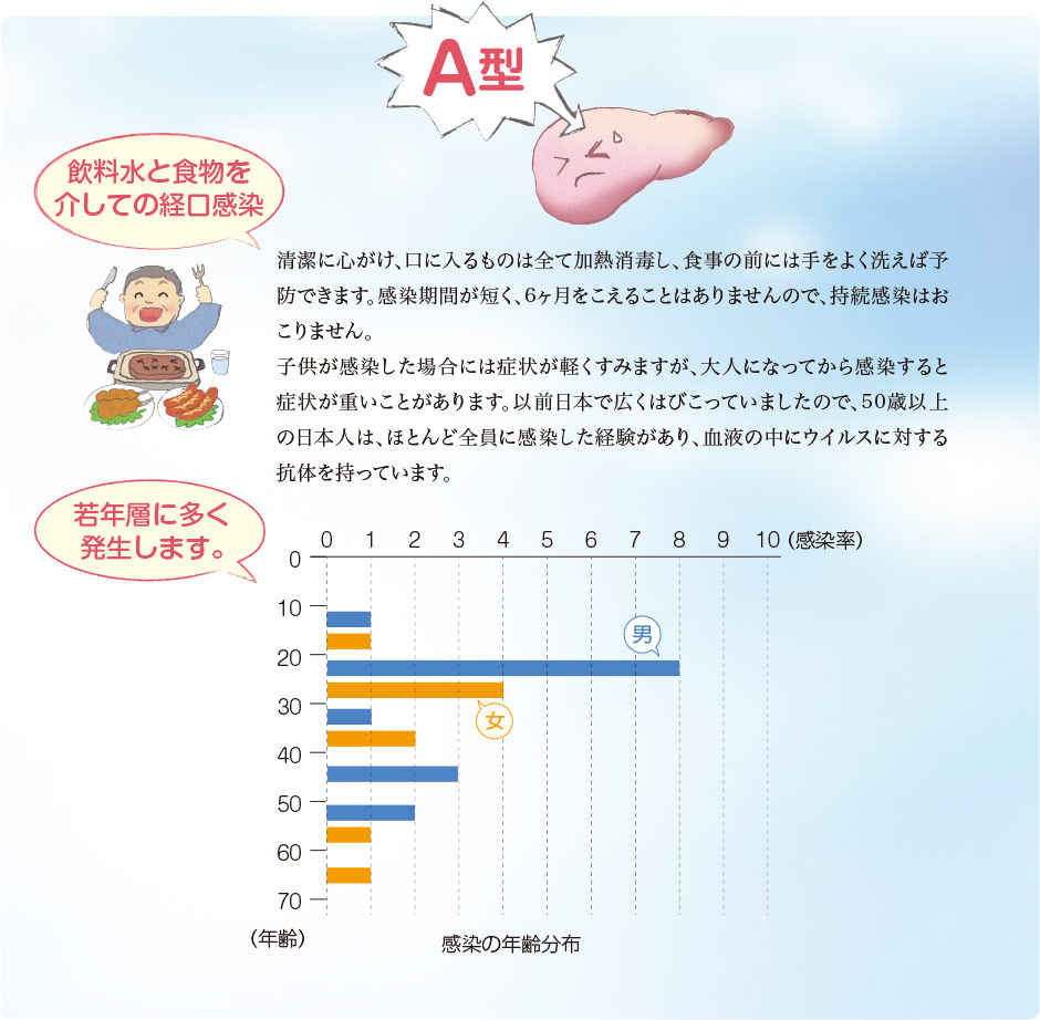 肝炎ウイルスA型は、飲料水と食物を介して経口感染し、若年層に多く発症します
